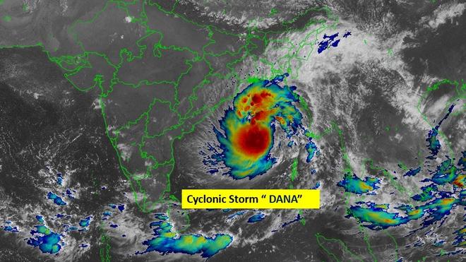Cyclone Dana Highlights: NDRF deploys 56 teams in five states